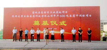 新动能蓄势待发 陕西友帮500吨医药中间体项目正式开工